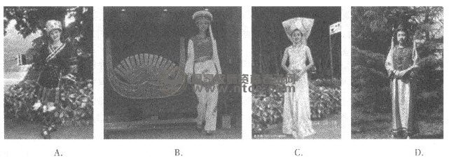 小学教师资格考试综合素质练习试题