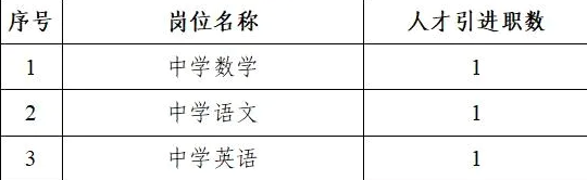 湖南2020长沙市第十一中学招聘教师3人公告